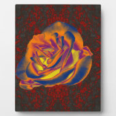 Photo Plaque Rose orange (Devant)