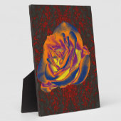 Photo Plaque Rose orange (Côté)