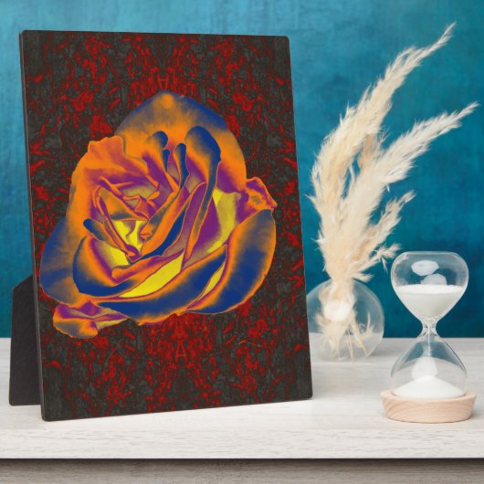 Photo Plaque Rose orange (Côté)