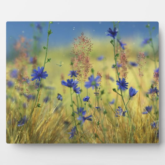 Photo Plaque saphir et or (Devant)