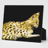 Photo Plaque Serval (Côté)