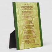 Photo Plaque tragique (Côté)