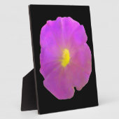 Photo Plaque violette de Petunia (Côté)