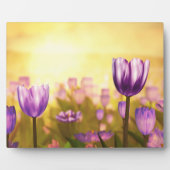 Photo Plaque violette Jubilee (Devant)