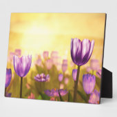 Photo Plaque violette Jubilee (Côté)