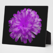 Photo Plaque violette Marigold (Côté)