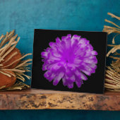 Photo Plaque violette Marigold (Côté)
