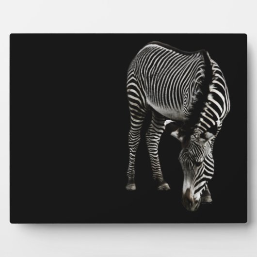 Photo Plaque Zebra P4435 (Devant)