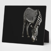 Photo Plaque Zebra P4435 (Côté)