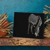 Photo Plaque Zebra P4435 (Côté)