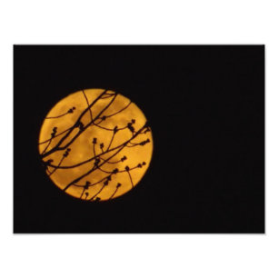 Photo Pleine lune