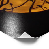 Photo Pleine lune (Coin)