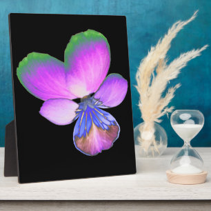 Photo Plutôt Pansy Plaque