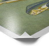 Photo Poisson Dauphin Impression poisson Vintage (Coin)