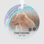 Photo Pont arc-en-ciel Noël pour animaux (dos)