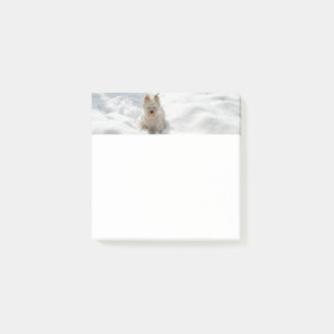 Photo Post-it Photo Pad Photo Chien blanc neigeux