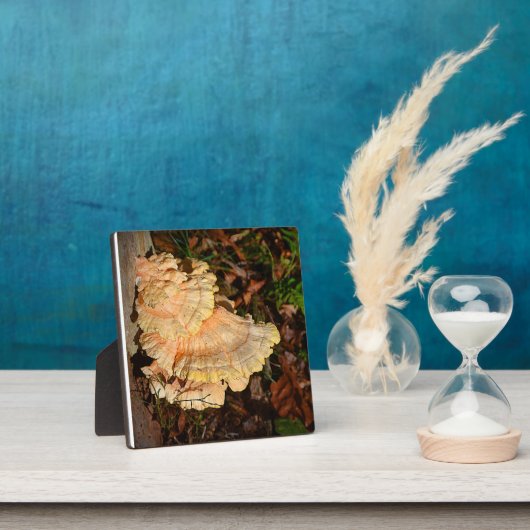 Photo Poulet de la Plaque des Bois (Insitu)