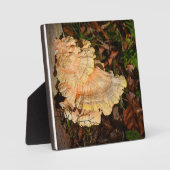 Photo Poulet de la Plaque des Bois (Recto)