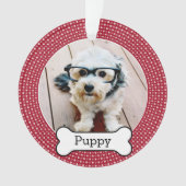 Photo pour animaux de compagnie avec os de chien - (devant)