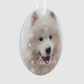 Photo pour animaux de compagnie moderne personnali (devant)