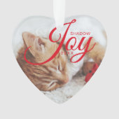 Photo pour animaux de compagnie multiple moderne e (devant)