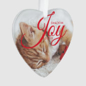 Photo pour animaux de compagnie multiple moderne e (devant)