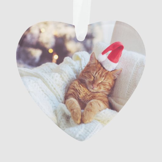 Photo pour animaux de compagnie multiple moderne e (dos)