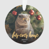 Photo pour animaux First Christmas Forever Home Sc (devant)