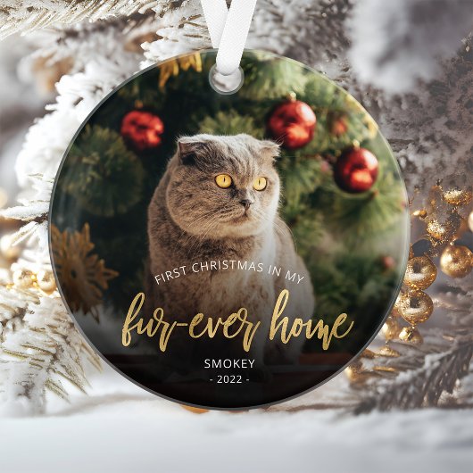 Photo pour animaux First Christmas Forever Home Sc