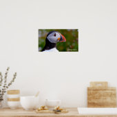 Photo Puffin pour Poster (Cuisine)
