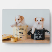 Photo Puppies Art Décor Plaque (Devant)