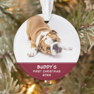 Photo Puppy Christmas Red Pet