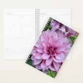 Photo Purple Daliha Bloom (Devant avec enveloppe)