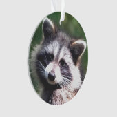 Photo Raccoon personnalisée (devant)