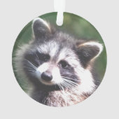 Photo Raccoon personnalisée (dos)