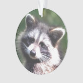 Photo Raccoon personnalisée (devant)