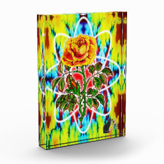 Photo Rad Rad Rose Couleur Illustration Bloc Acrylique