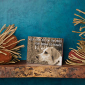 Photo Rêves de réaliser Plaque est Pawsitive chien (Côté)