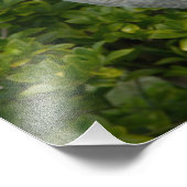 Photo Sandhill Crane (Coin)