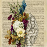 Photo Sculpture affiche d'anatomie du cerveau floral médical<br><div class="desc">fleurs,  fleur,  rose,  rose,  page,  livre,  dictionnaire,  répertoire,  cerveau,  blanc,  humain,  vintage,  anatomie,  santé,  médecine,  science,  biologie,  gravure,  noir,  vieux,  graphique,  gravure,  antique,  ligne,  corps,  gravé,  tête,  éducation,  esprit,  côté,  intelligence,  nerveux,  monochrome,  personne,  symbole,  3d,  style,  léger,  brun,  rétro,  croquis,  couleur,  infirmière,  clinique</div>