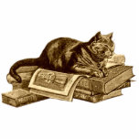 Photo Sculpture Books Kitty Cat Lecture<br><div class="desc">Bookworm Kitty Cat reposant sur sa bibliothèque,  lisant des livres imprimés sur des cadeaux.</div>