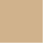 Photo Sculpture couleur<br><div class="desc">couleur brune de type D2B48C</div>