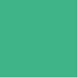 Photo Sculpture couleur menthe<br><div class="desc">couleur menthe / feuille de menthe 3EB489</div>