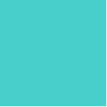 Photo Sculpture couleur moyenne turquoise<br><div class="desc">couleur moyenne turquoise 48D1CC</div>