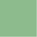 Photo Sculpture couleur vert foncé<br><div class="desc">couleur vert foncé 8FBC8F</div>