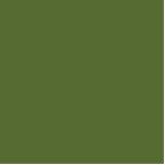 Photo Sculpture couleur vert foncé<br><div class="desc">couleur vert olive foncé 556B2F</div>