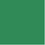 Photo Sculpture couleur vert mer<br><div class="desc">couleur vert marine 2E8B57</div>