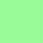 Photo Sculpture couleur vert pâle<br><div class="desc">couleur vert pâle 98FB98</div>