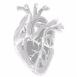 Photo Sculpture Croquis cardiaque Sculpture photo<br><div class="desc">Un coeur gris monochromatique réaliste et détaillé pour l'affichage. CHD fait du coeur un sujet central dans la vie de ceux touchés par les défauts. Cette sculpture est destinée à ceux qui ont une fascination particulière pour cet organe extraordinaire. image adaptée de https://pixabay.com/illustrations/heart-nurse-health-body-parts-5079717/ par mandrakeep.</div>