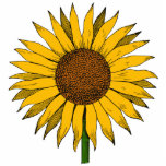 Photo Sculpture Fleur jaune tournesol<br><div class="desc">L'illustration d'un tournesol,  symbole du bonheur. L'oeuvre d'art fait un grand cadeau pour les objets décoratifs maison,  vêtements,  accessoires,  autocollants,  papeterie,  etc... </div>